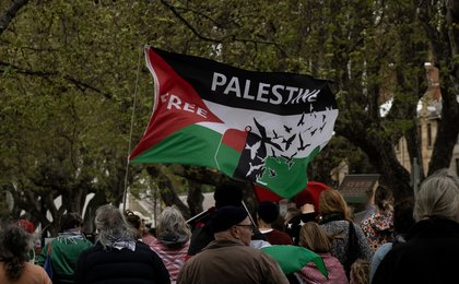 A big group of people at a rally. Someone is holding a big Palestinian flags depicting a flock of birds in flight