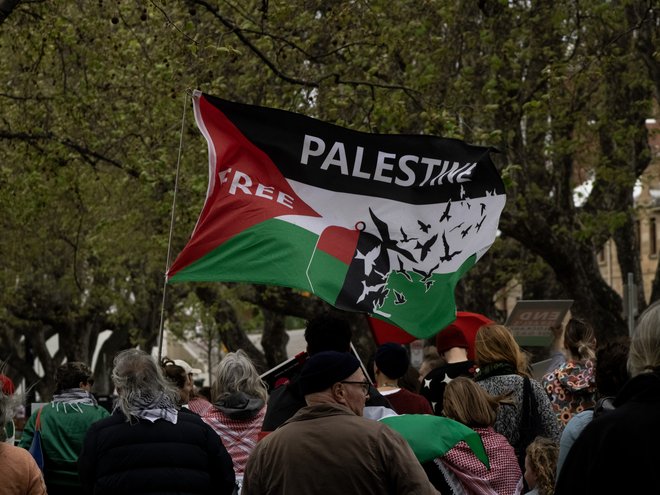 A big group of people at a rally. Someone is holding a big Palestinian flags depicting a flock of birds in flight